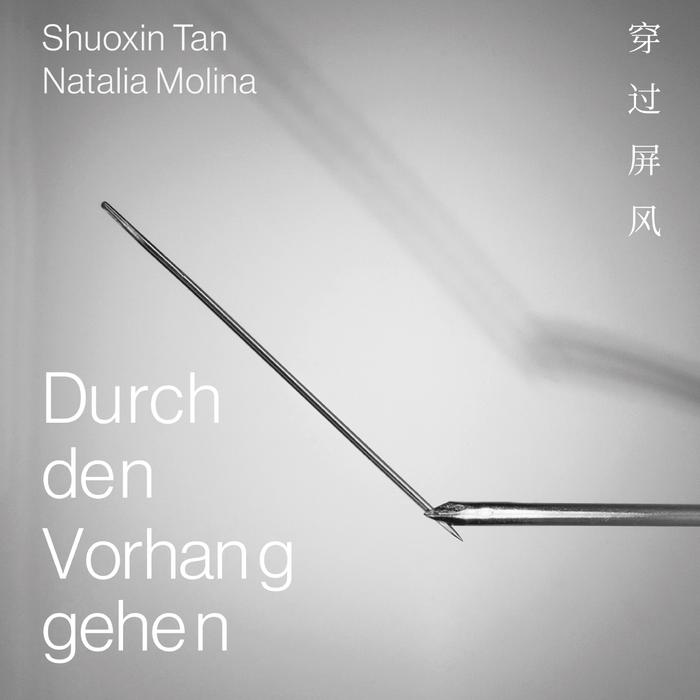 Cover for Durch den Vorhang gehen 穿过屏风