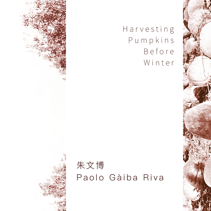 Cover for Harvesting Pumpkins Before Winter